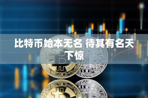 比特幣始本無名 待其有名天下驚