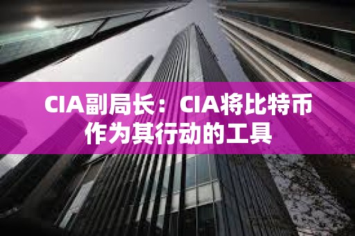 CIA副局長：CIA將比特幣作為其行動的工具