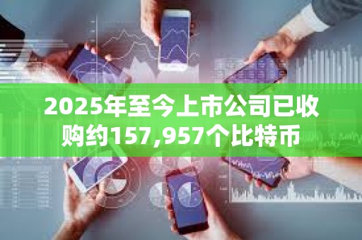 2025年至今上市公司已收購(gòu)約157,957個(gè)比特幣